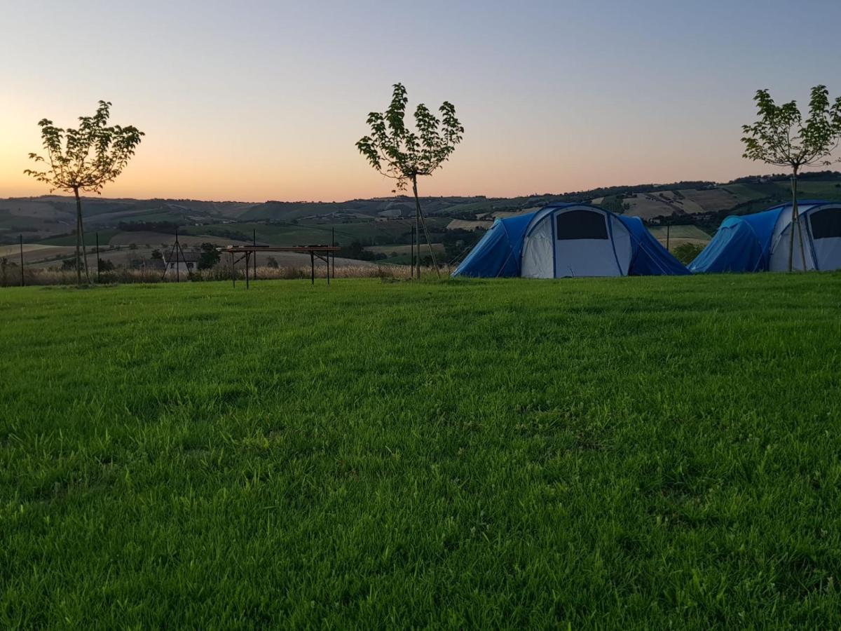 Fattoria Country Village Montecarotto Екстериор снимка