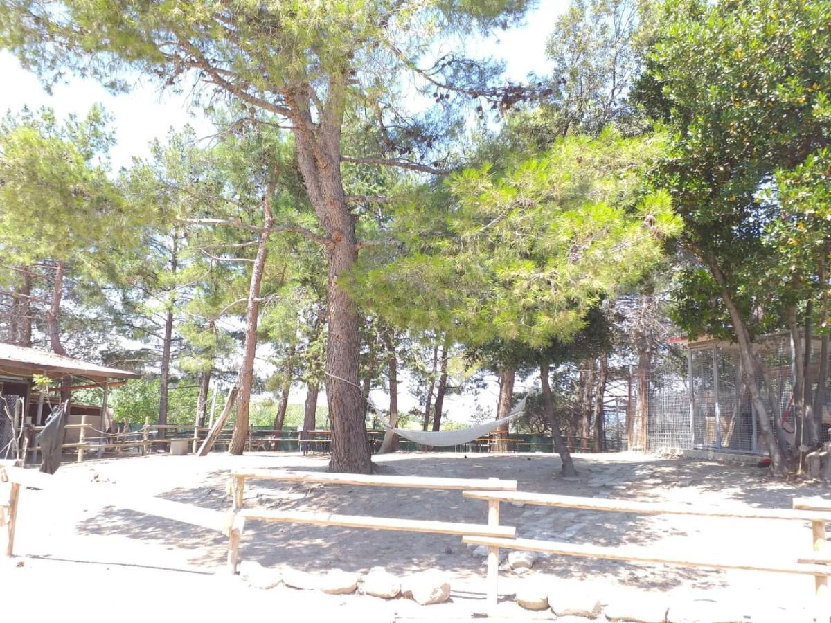 Fattoria Country Village Montecarotto Екстериор снимка
